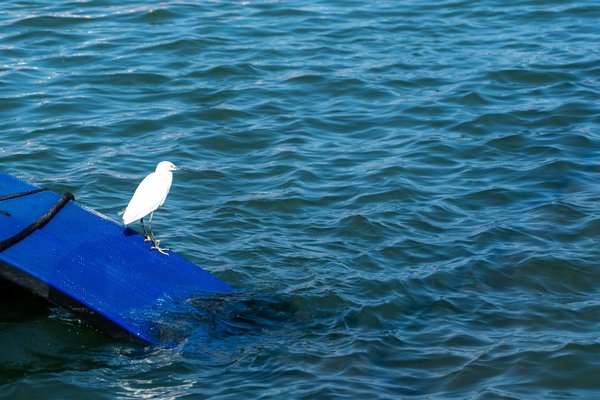 Découvrez comment l'hypnothérapie peut offrir un soulagement durable des douleurs chroniques !